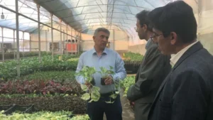 جتمع گلخانه‌ای و فعالیت های سرخوشه موفق و برتر استان فارس