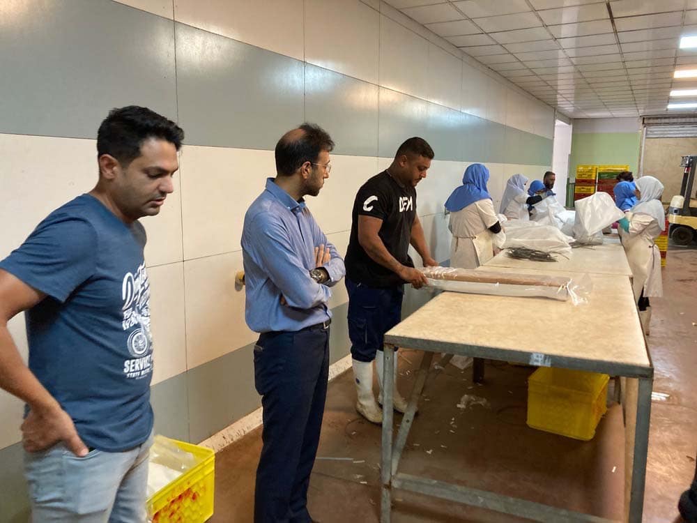 زرافشان-جنوب