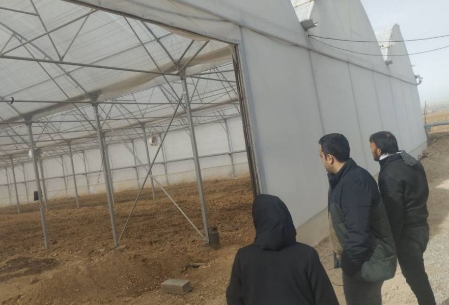 گلخانه تولید نشاء